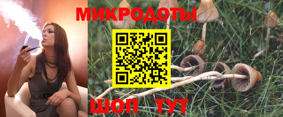 Галлюциногенные грибы Cubensis  Вход с VPN  Галлюциногенные грибы прущие грибы  Георгиевск 