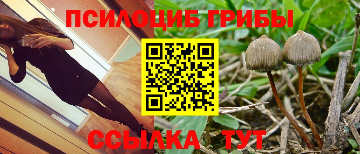 Галлюциногенные грибы ЛСД Георгиевск